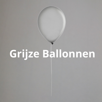 Grijze Ballonnen kopen