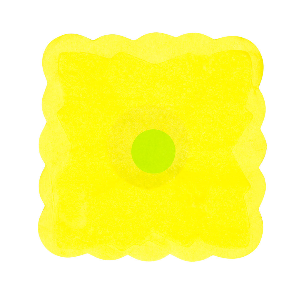Fandango-Schaukel (6 m)