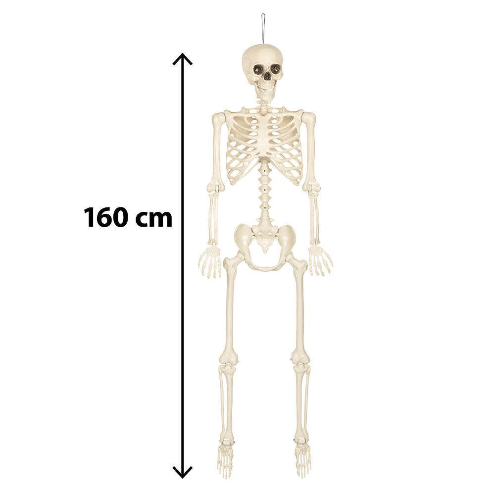 Halloween Decoratie Skelet 160 cm – een griezelige Halloween klassieker