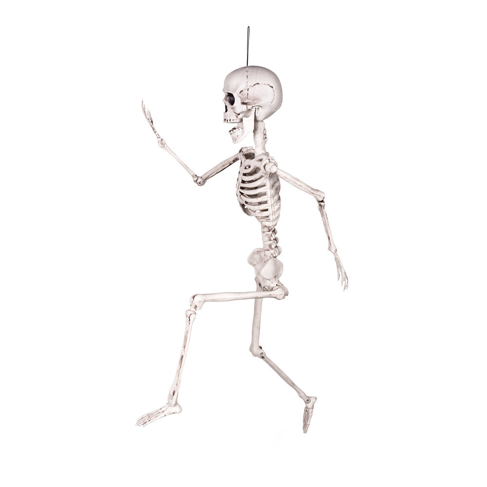 Beweegbaar skelet kopen