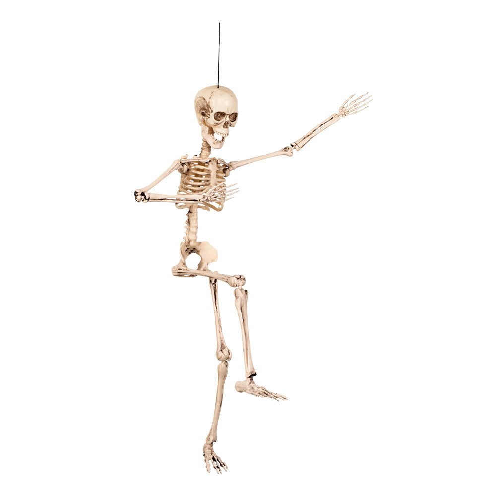Halloween beweegbaar skelet decoratie 50 cm