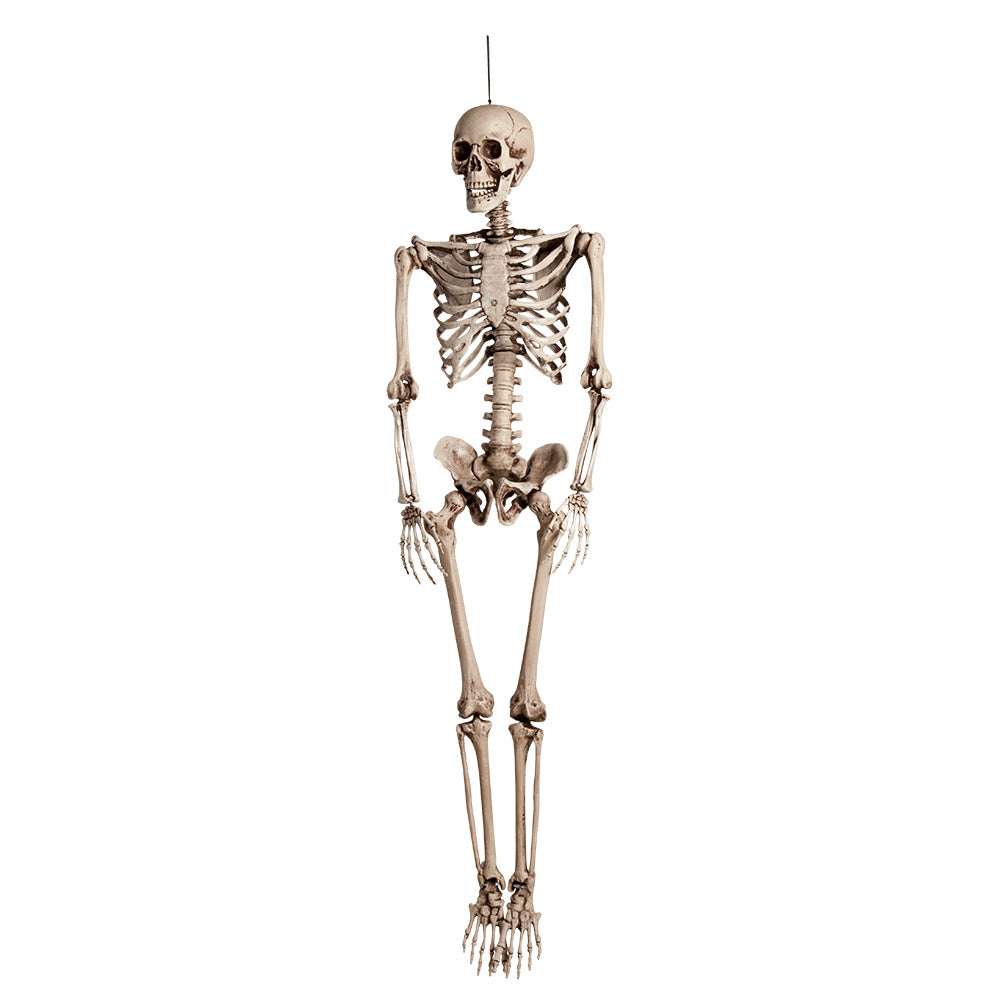 Decoratief skelet kopen