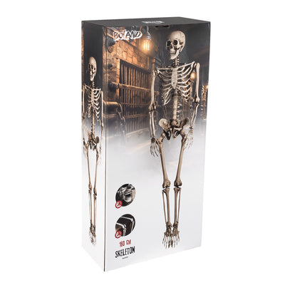 Decoratief skelet kopen