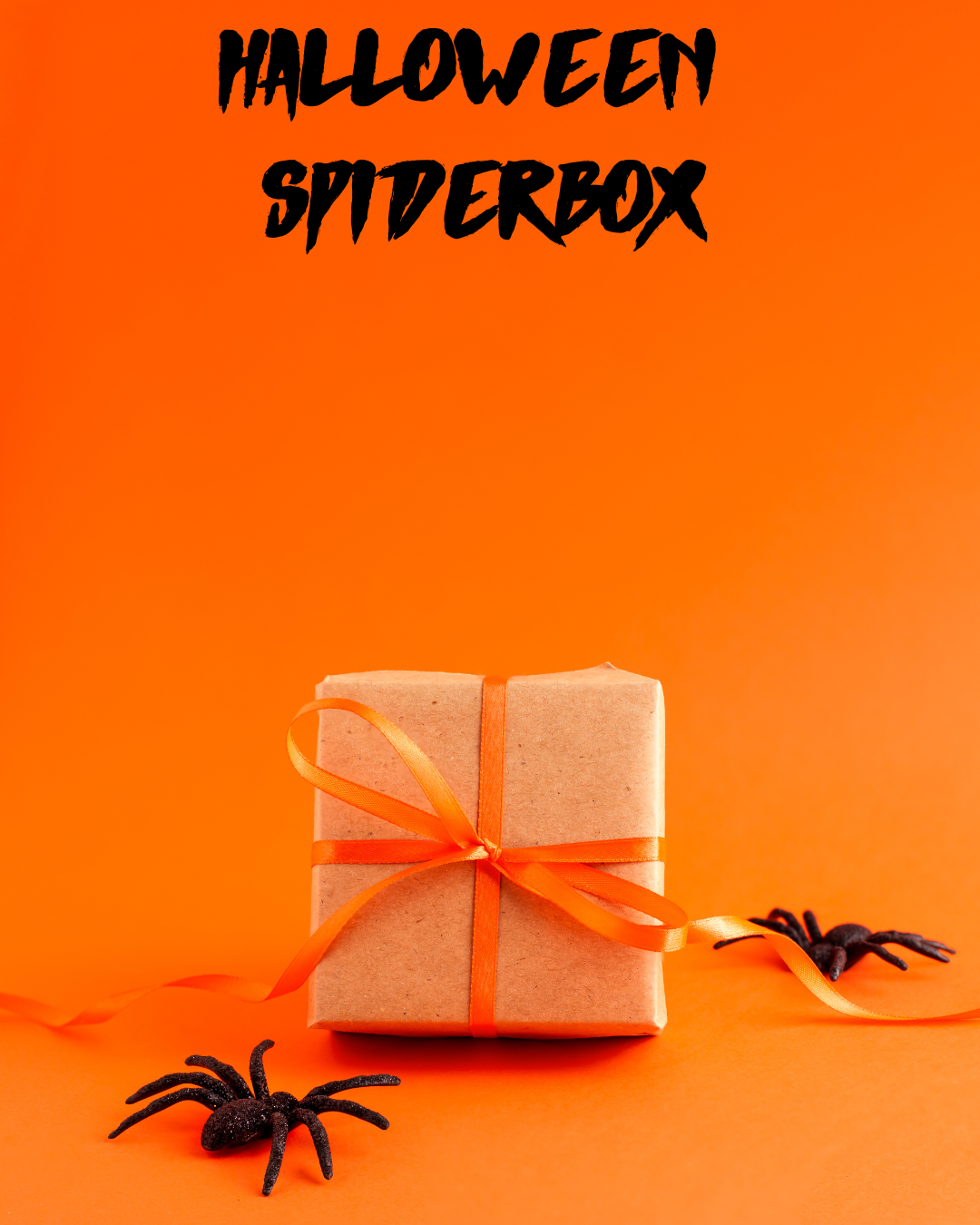 Spiderbox | Halloween Decoratiepakket | Spinnen | Small, Medium of Extra Large