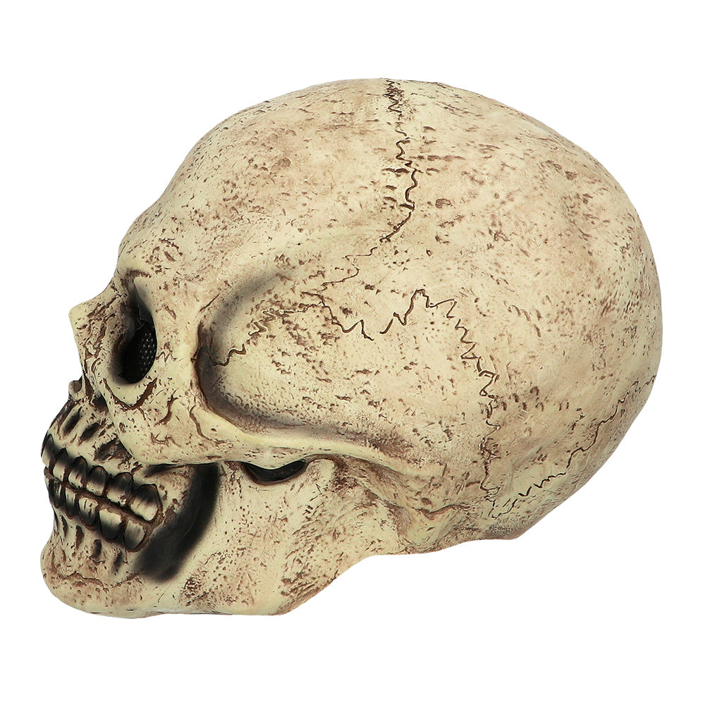 Skull masker kopen