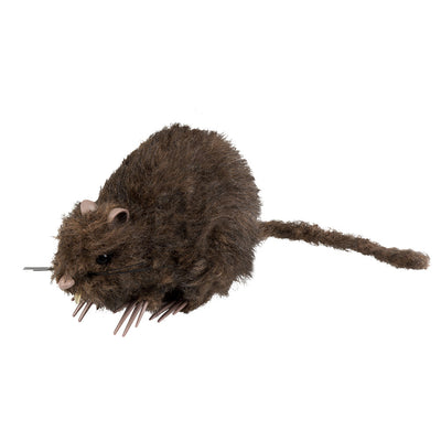 Rat decoratie voor Halloween