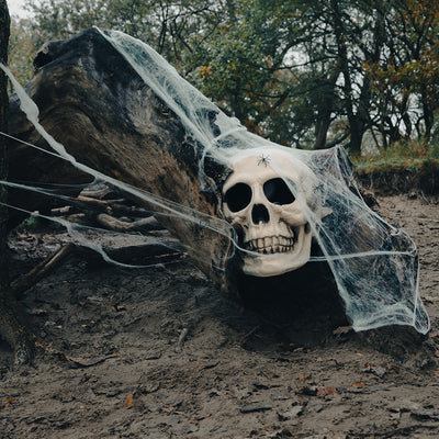 Schedel Masterbrain kopen