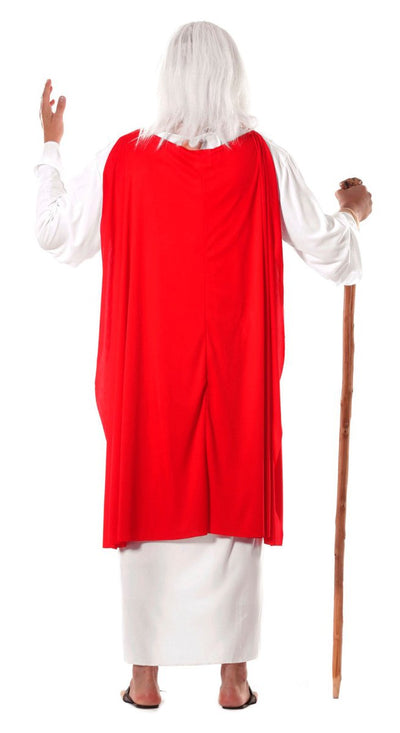 Panoramix Kostuum Asterix en Obelix