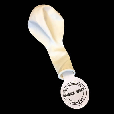 LED Ballon Wit (5 stuks)