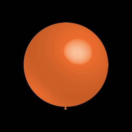 Decoratieve ballonnen - 30cm - Oranje (100 stuks)