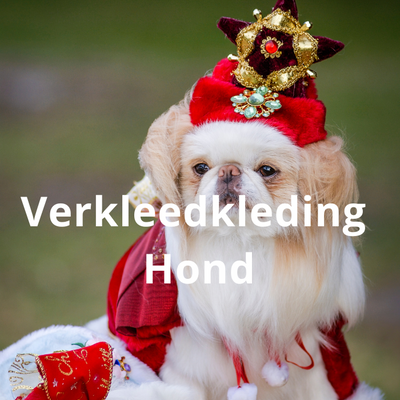 Verkleedkleding hond
