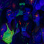 Halloween UV Blacklight 6 LED – 18W | UV Lamp voor Decoratie & Feest