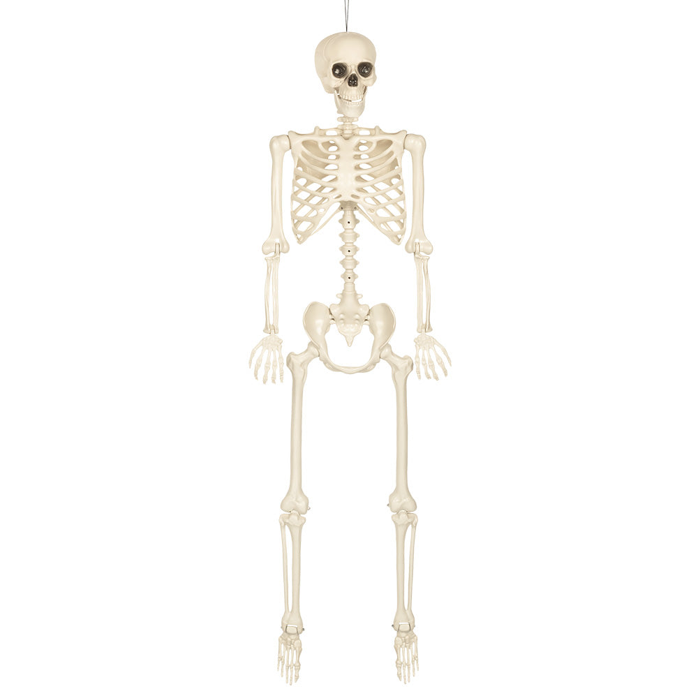 Halloween Decoratie Skelet 160 cm – een griezelige Halloween klassieker