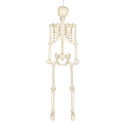 Halloween Decoratie Skelet 160 cm – een griezelige Halloween klassieker