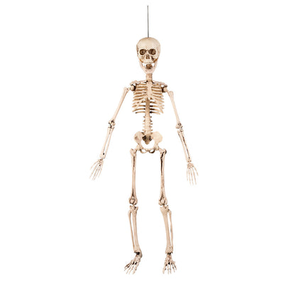 Halloween beweegbaar skelet decoratie 50 cm