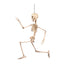 Halloween beweegbaar skelet decoratie 50 cm