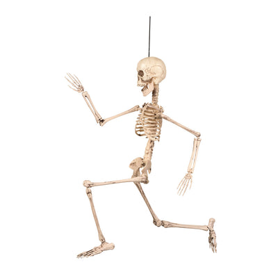 Halloween beweegbaar skelet decoratie 50 cm