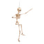 Halloween beweegbaar skelet decoratie 50 cm