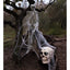 Decoratief skelet kopen