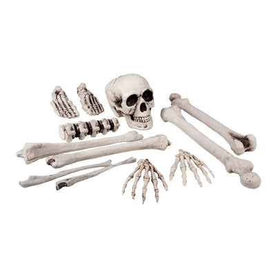 Doodshoofd en beenderen decoratie voor Halloween