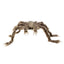Spiderbox | Halloween Decoratiepakket | Spinnen | Small, Medium of Extra Large
