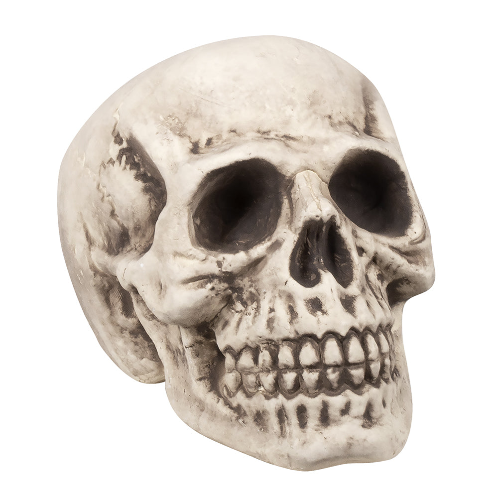 Schedel kopen Bighead
