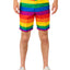 Suitmeister |SUMMER Rainbow | Herenpak | Herenkostuum