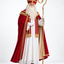 Professioneel sinterklaaspak met accessoires