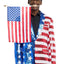 Sequins Stars & Stripes