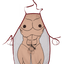 Keukenschort Met Penis - Chefcock