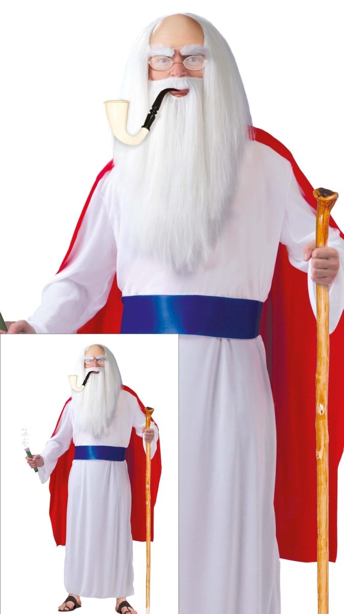 Panoramix Kostuum Asterix en Obelix