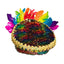 Regenboog Pet Veren En Diamanten