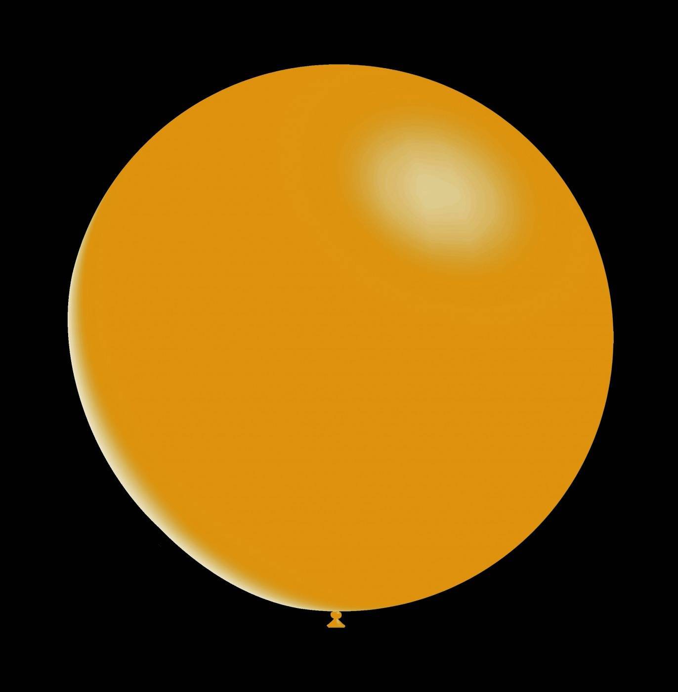 Gouden ballonnen - Metallic rond - 28cm - (50 Stuks)